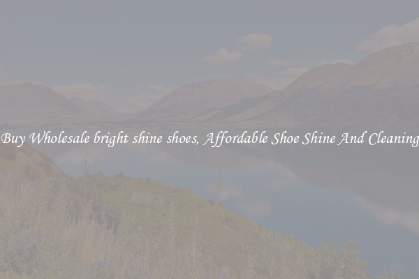 Buy Wholesale bright shine shoes, Affordable Shoe Shine And Cleaning