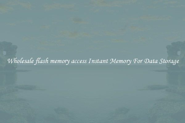 Wholesale flash memory access Instant Memory For Data Storage