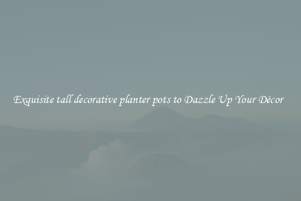 Exquisite tall decorative planter pots to Dazzle Up Your Décor  