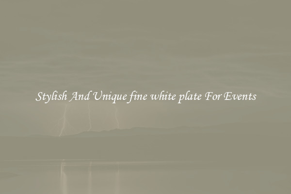 Stylish And Unique fine white plate For Events