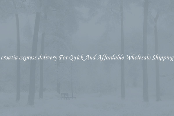croatia express delivery For Quick And Affordable Wholesale Shipping