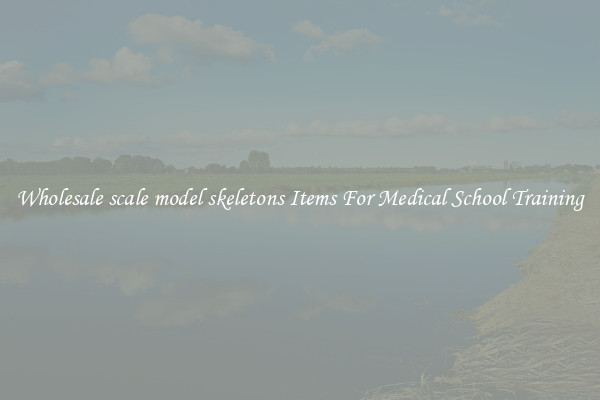 Wholesale scale model skeletons Items For Medical School Training
