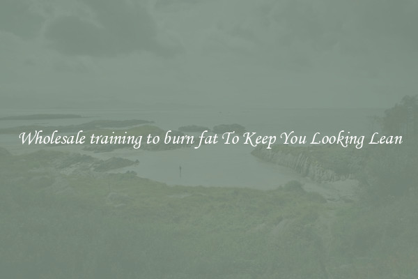 Wholesale training to burn fat To Keep You Looking Lean