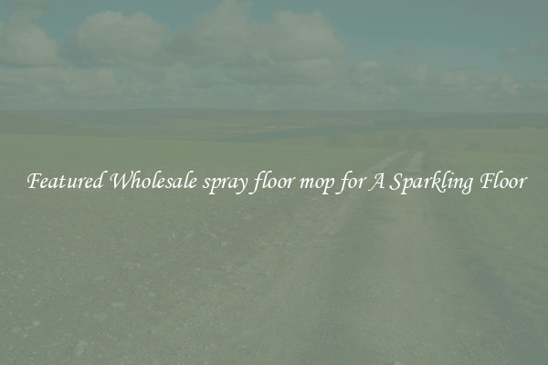 Featured Wholesale spray floor mop for A Sparkling Floor