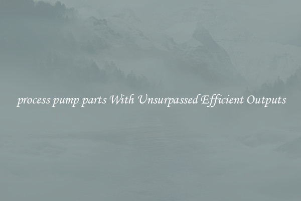 process pump parts With Unsurpassed Efficient Outputs