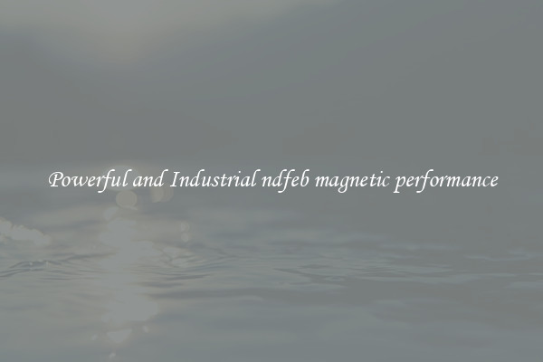 Powerful and Industrial ndfeb magnetic performance