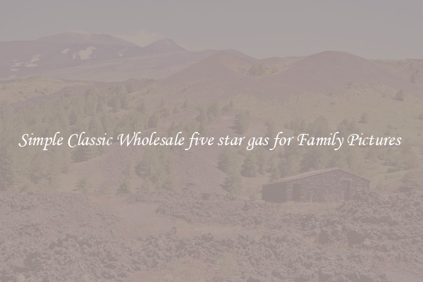 Simple Classic Wholesale five star gas for Family Pictures 