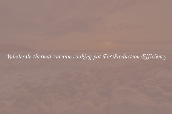 Wholesale thermal vacuum cooking pot For Production Efficiency