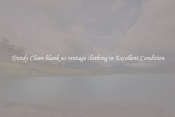 Trendy Clean blank us vintage clothing in Excellent Condition