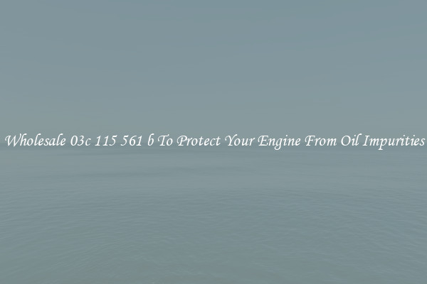 Wholesale 03c 115 561 b To Protect Your Engine From Oil Impurities