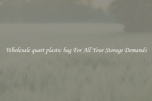 Wholesale quart plastic bag For All Your Storage Demands