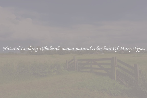 Natural Looking Wholesale aaaaa natural color hair Of Many Types