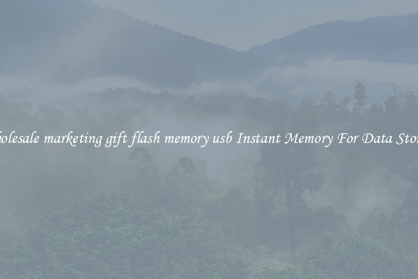 Wholesale marketing gift flash memory usb Instant Memory For Data Storage