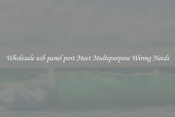 Wholesale usb panel port Meet Multipurpose Wiring Needs