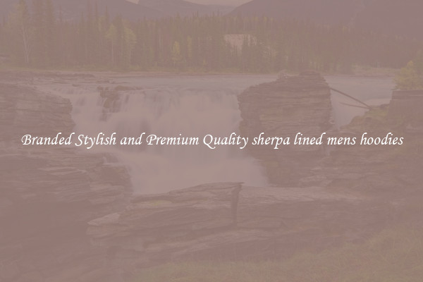 Branded Stylish and Premium Quality sherpa lined mens hoodies
