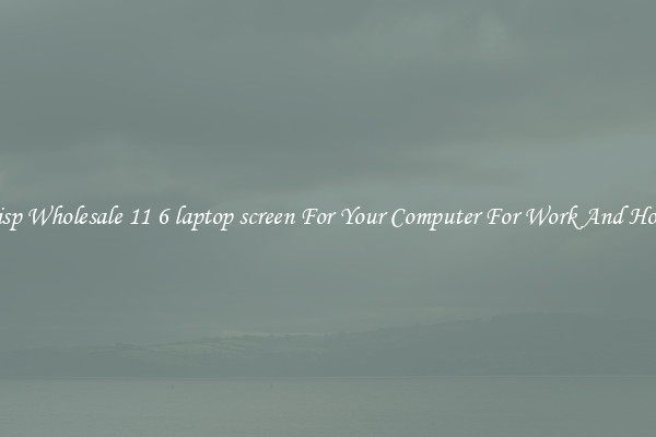 Crisp Wholesale 11 6 laptop screen For Your Computer For Work And Home