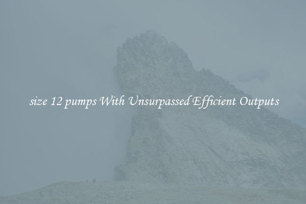 size 12 pumps With Unsurpassed Efficient Outputs