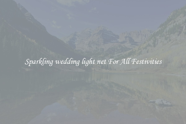 Sparkling wedding light net For All Festivities