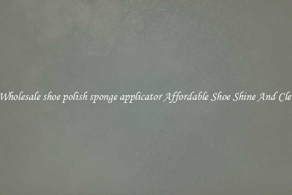 Buy Wholesale shoe polish sponge applicator Affordable Shoe Shine And Cleaning
