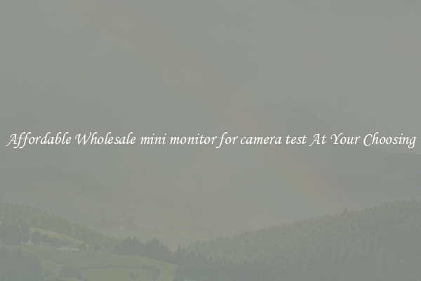 Affordable Wholesale mini monitor for camera test At Your Choosing